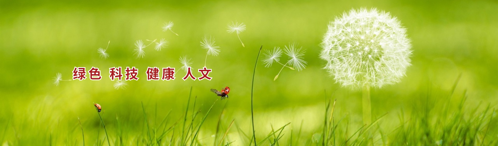 (y)banner